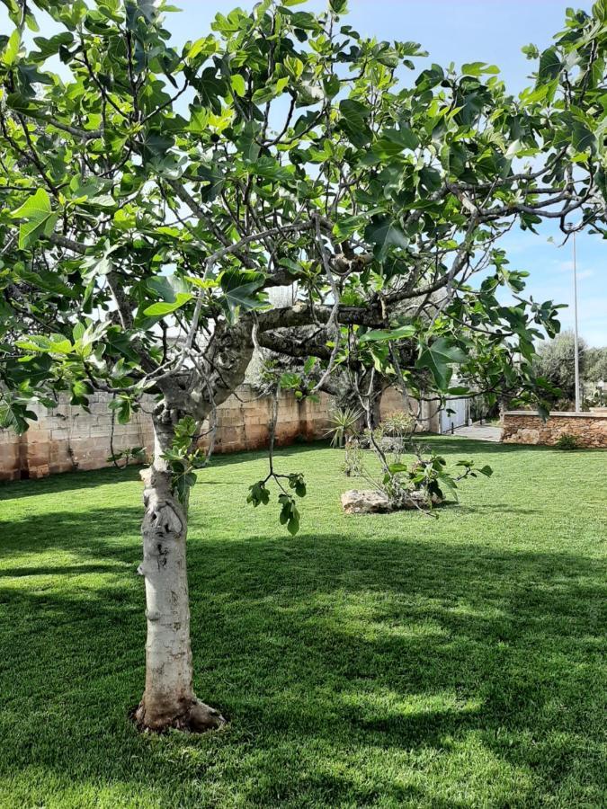 Corte Del Sole Manduria Εξωτερικό φωτογραφία